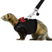 RYPET Torimfe Soft Mesh Small Animal Harness, Black - Safqqa Egypt