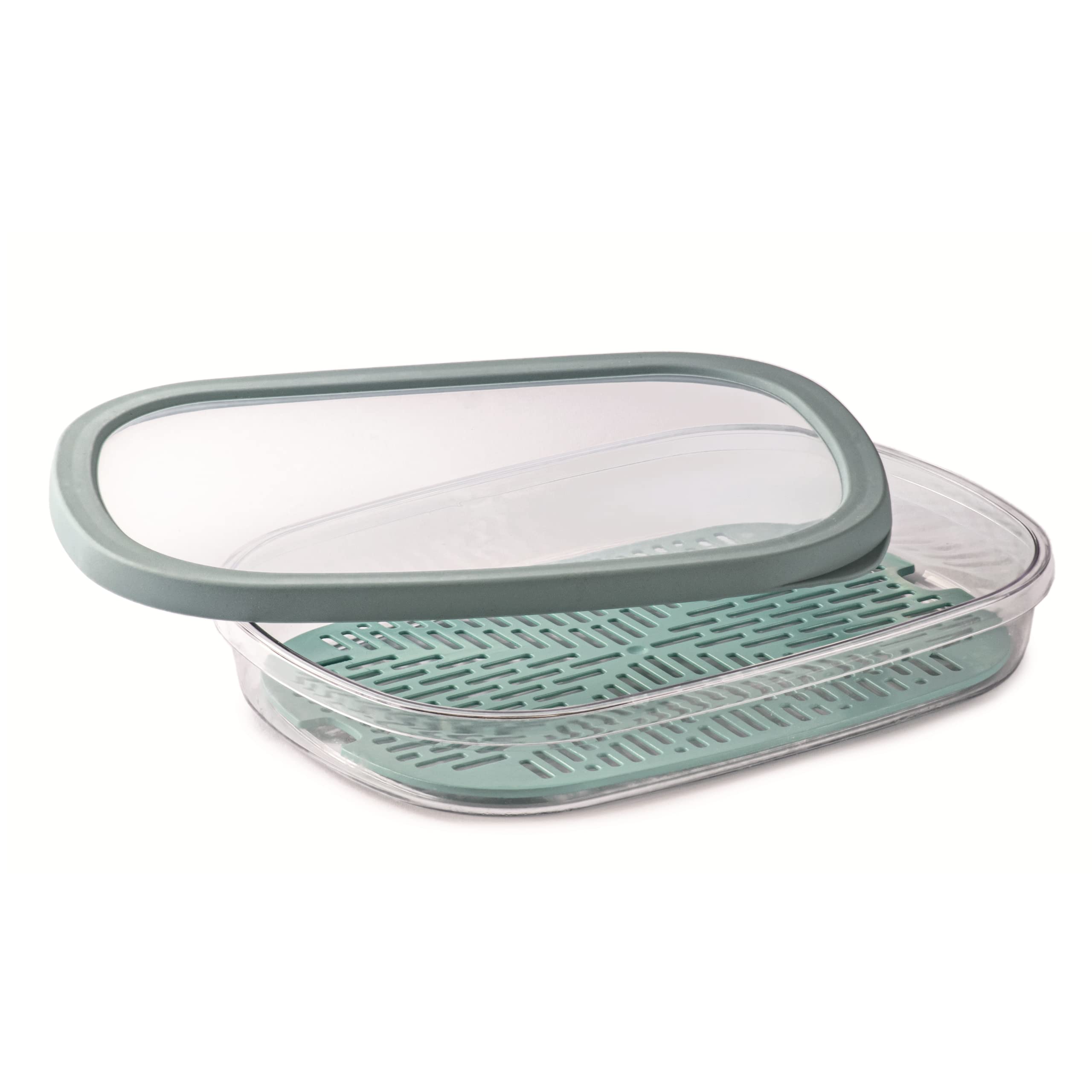 Snips Saving Food Container - 1,50 L- 28,5 x 20,5 x 4,5 cm Made in Italy