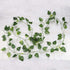 Wonka Artificial Flexible Vine Reptile Habitat Decor Green Leaves