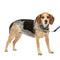 Petsafe Easy Walk Dog Harness – No-Pull