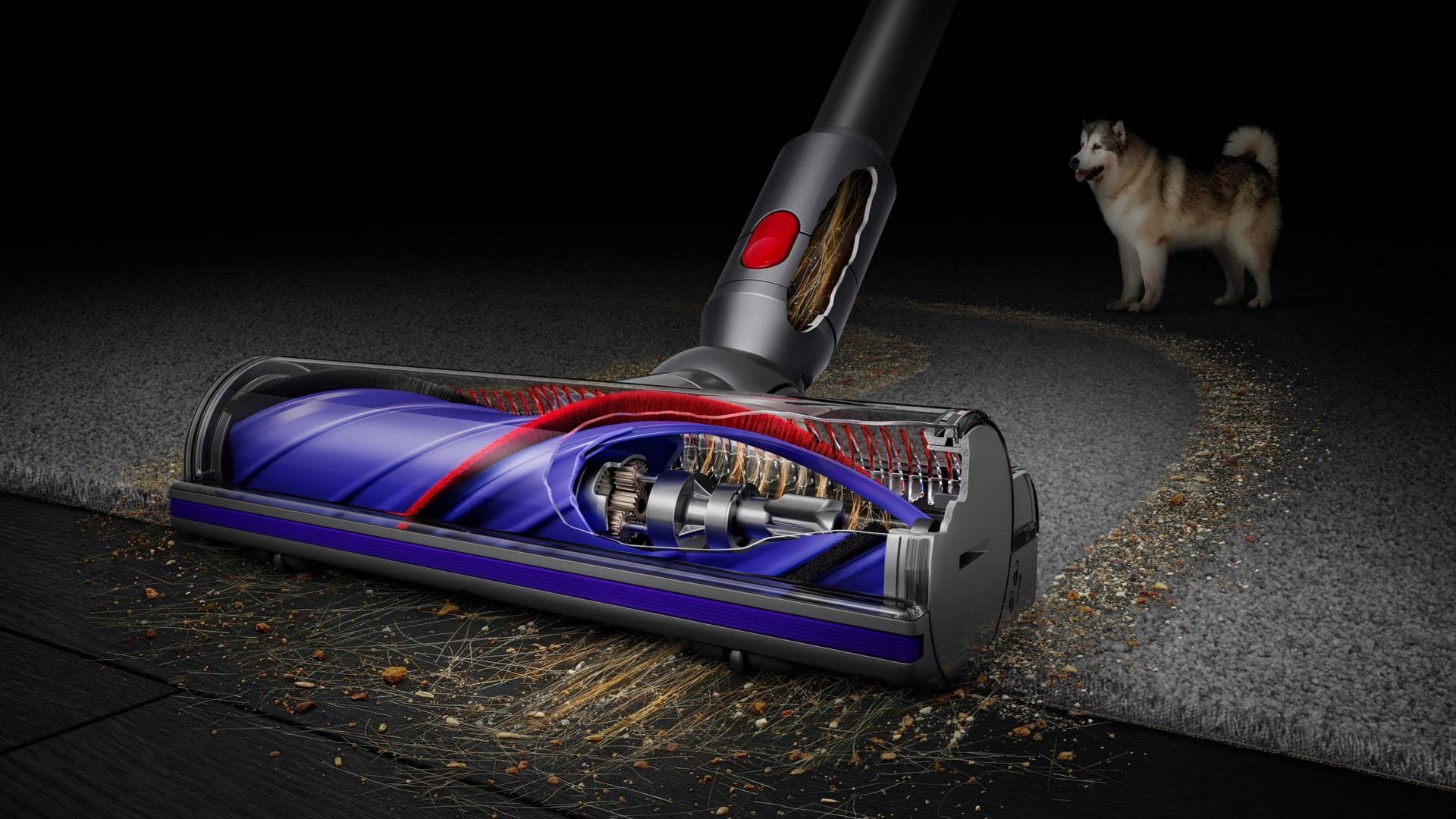 Dyson V8™ Cordless Vacuum Advanced -492637-01- Have Scratches and Used - Safqqa Egypt
