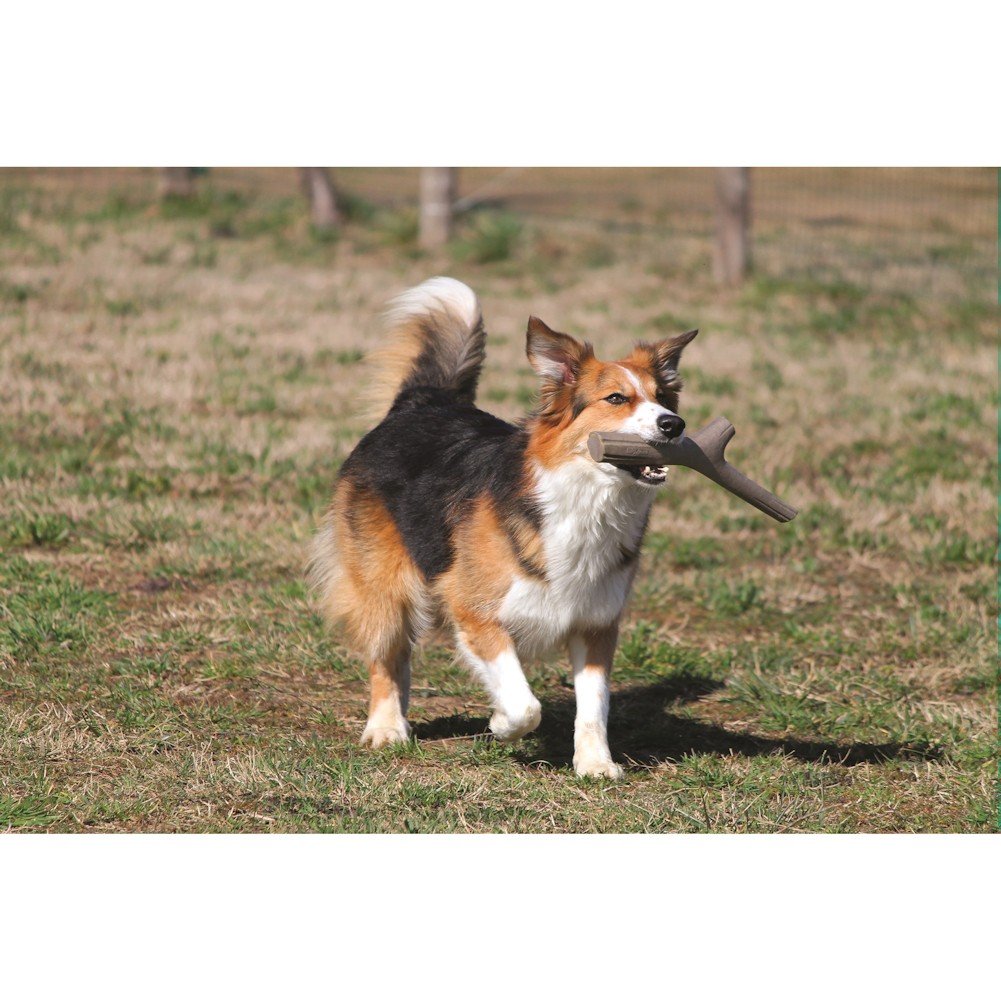 Bama Playstick For Dogs Tuttomio, Made In Italy