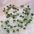 Wonka Artificial Flexible Vine Reptile Habitat Decor Green Leaves