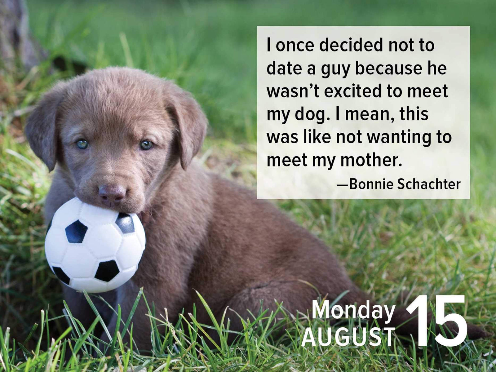 2022 Mini Daily Calendar – Adorable Puppies