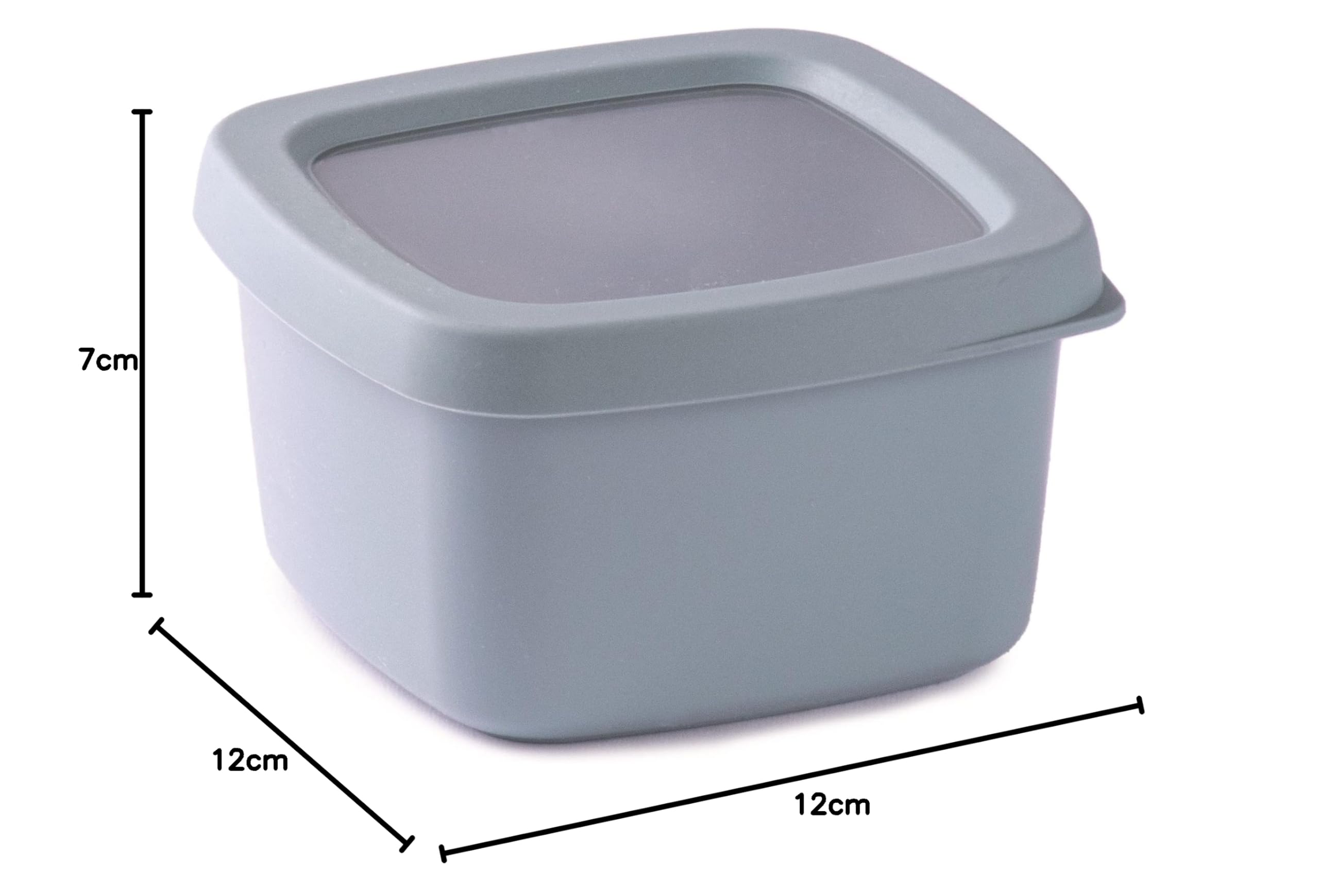 Snips Aroma Saving Container, 0.50L, Light Blue, Airtight Seal