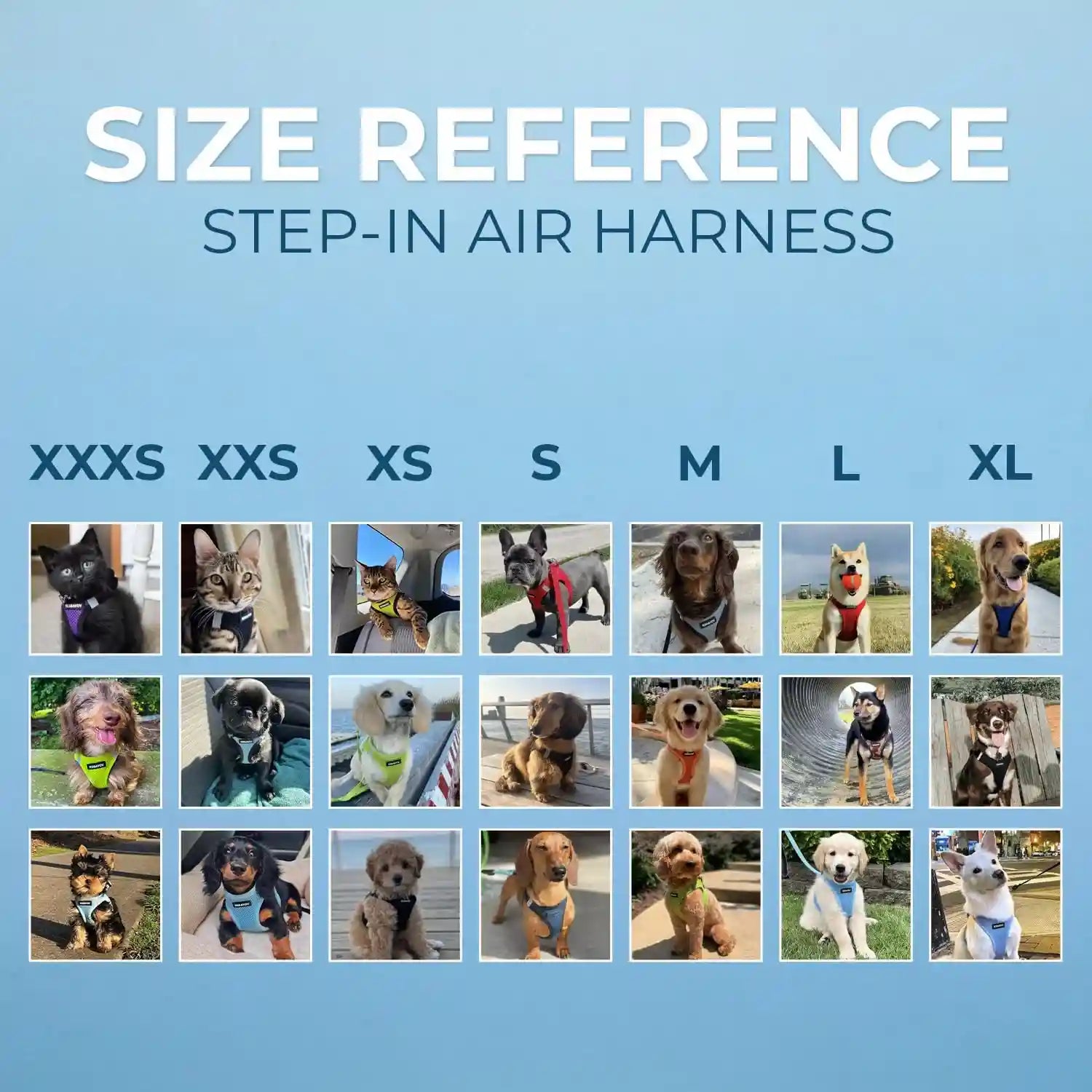 حزام الحيوانات الأليفة Best Pet Supplies Voyager Step-in Air باللون الأزرق الملكي/الأسود مصمم للكلاب والقطط الصغيرة والمتوسطة. مصنوع من شبكة قابلة للتنفس تناسب جميع الأحوال الجوية