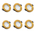Wamda 5W Edge Bronze Spotlight