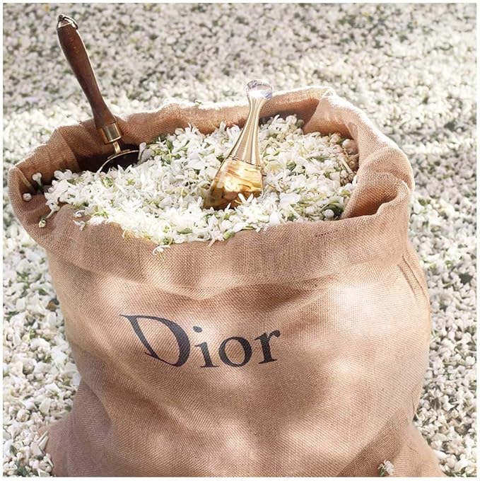 Dior Eau de Parfum for Women 100ml – Safqqa Egypt
