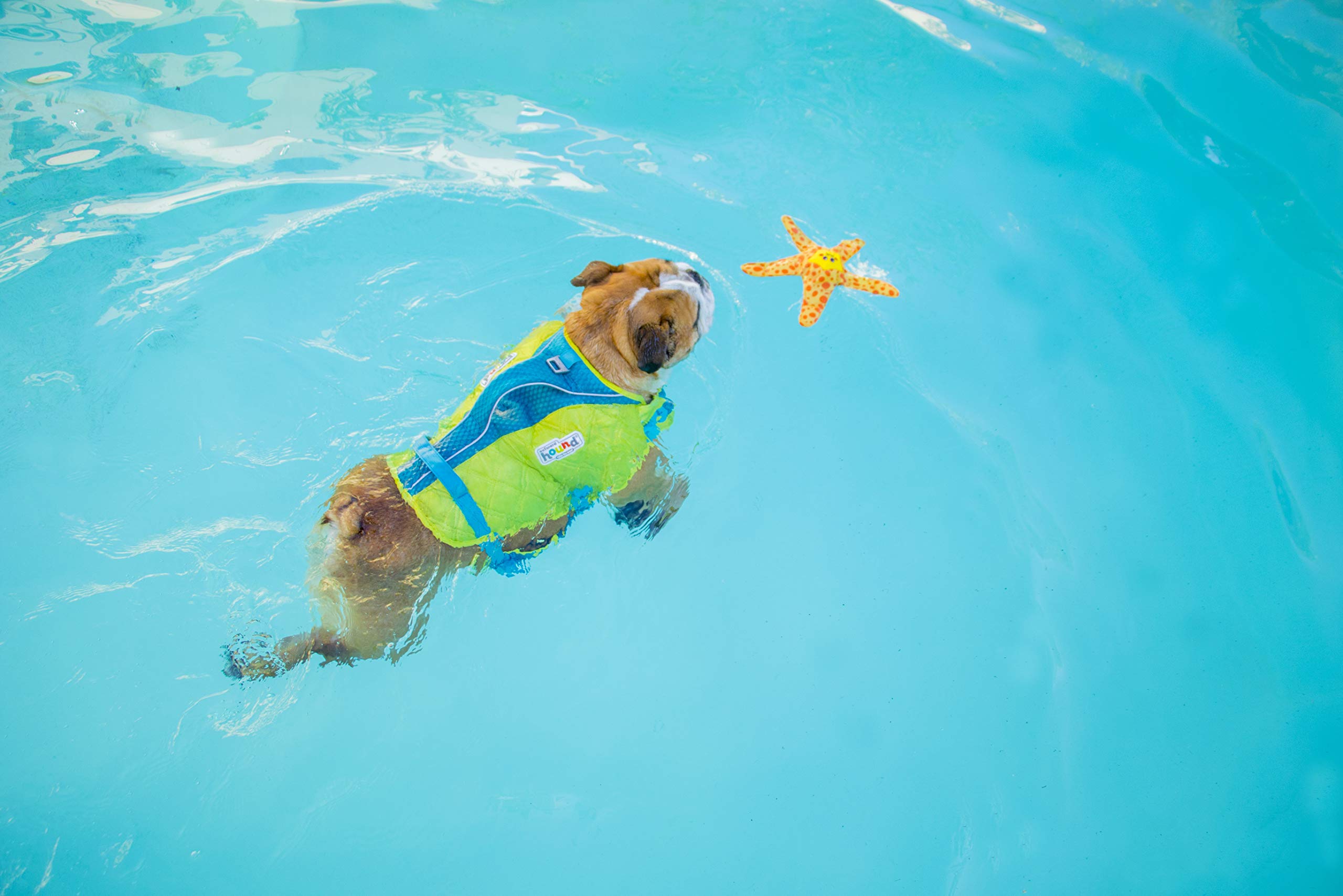 Outward Hound Floatiez Water Toy for Pets