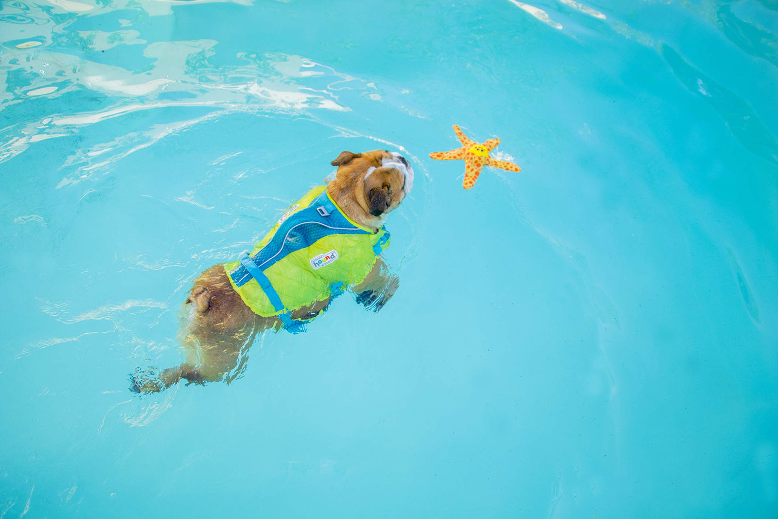 Outward Hound Floatiez Water Toy for Pets