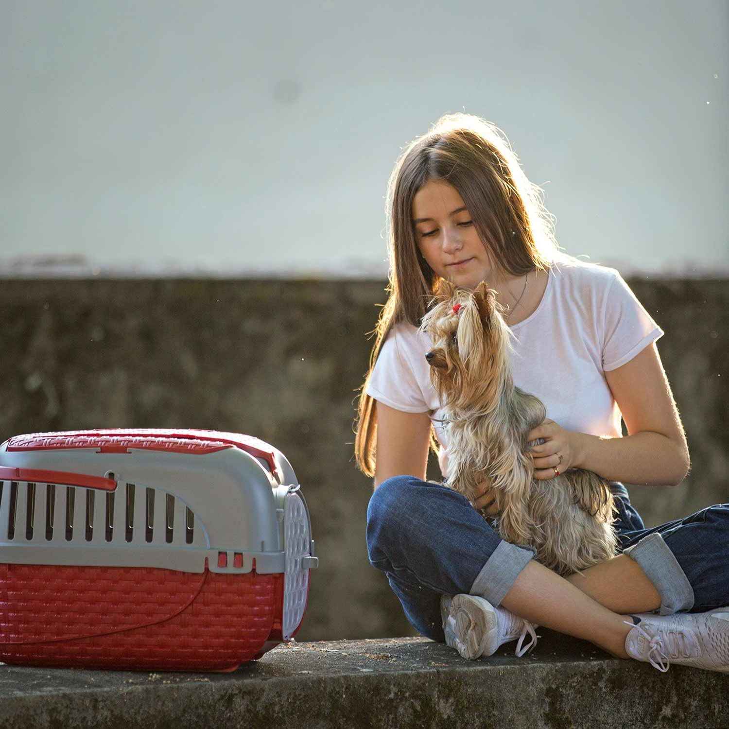 صندوق نقل الحيوانات الأليفة من باما باللون الرملي الأنيق مصنوع من بلاستيك قوي يوفر الأمان والراحة لحيوانك أثناء التنقل. يتميز بفتحات تهوية جانبية لضمان تدفق الهواء بشكل مثالي – Safqqa Egypt