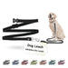 Doco Leash For Dog 6Ft -Black, M/L - Safqqa