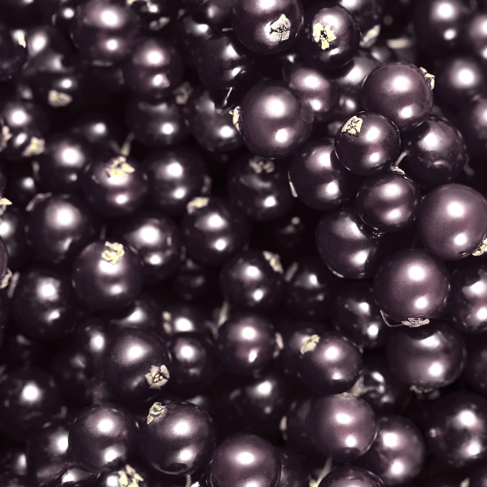 Escada Perfume For Women 75ml