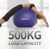 PROIRON Exercise Ball, Yoga, Birth, Pregnancy and Gym Training Ball, Supports 500 kg