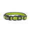 DOCO® Martini Bean Collar (DCS008) Sizes - XS, Color - Lemon - Safqqa Egypt