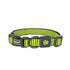 DOCO® Martini Bean Collar (DCS008) Sizes - XS, Color - Lemon - Safqqa Egypt