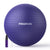 PROIRON Exercise Ball, Yoga, Birth, Pregnancy and Gym Training Ball, Supports 500 kg