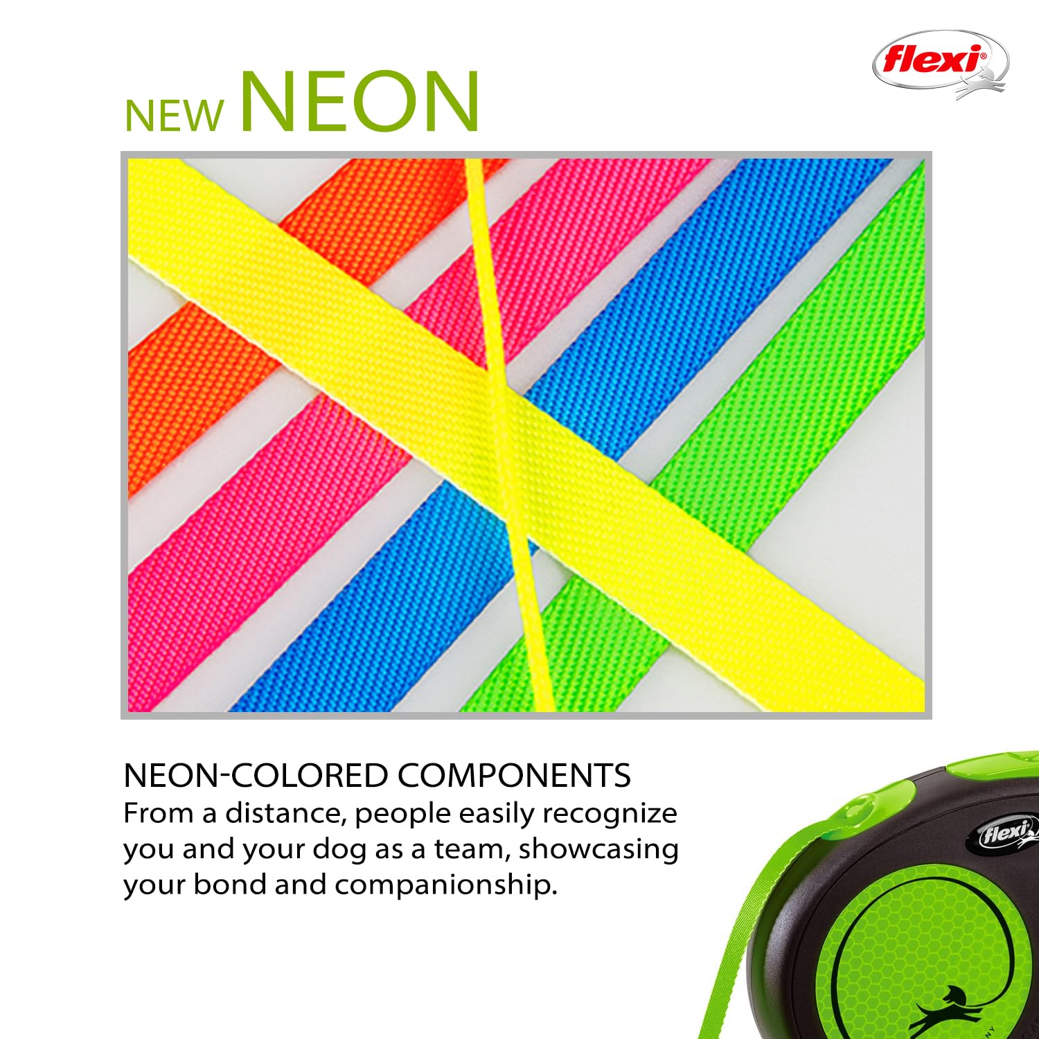 Flexi Tape 5m Green For Dog – Safqqa Egypt