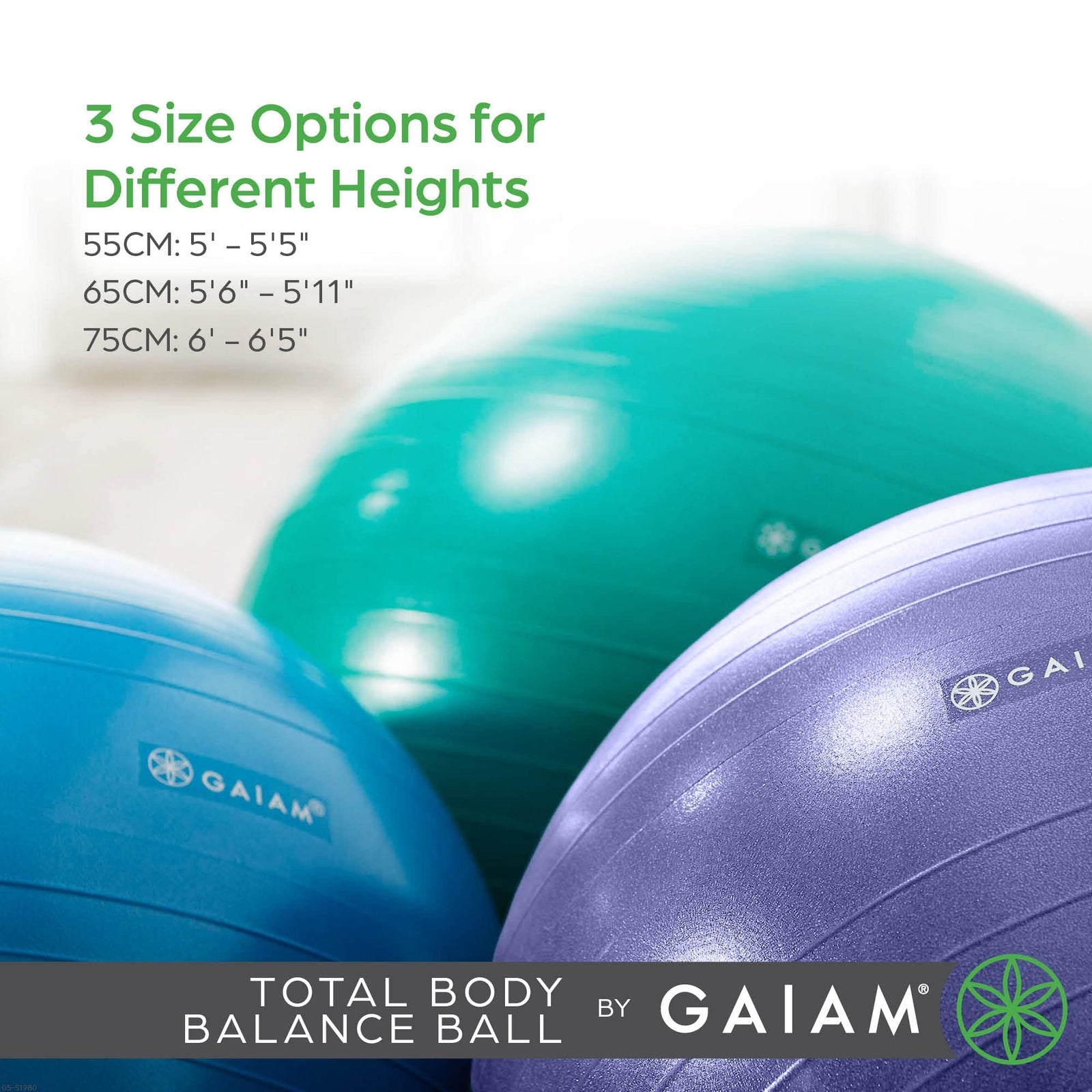 Gaiam Total Body Balance Ball Kit - Includes Anti-Burst Stability Exercise Yoga Ball, Air Pump, Workout Program