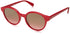 Max & Co. Max&Co. Round Sunglasses For Women - Brown Lens