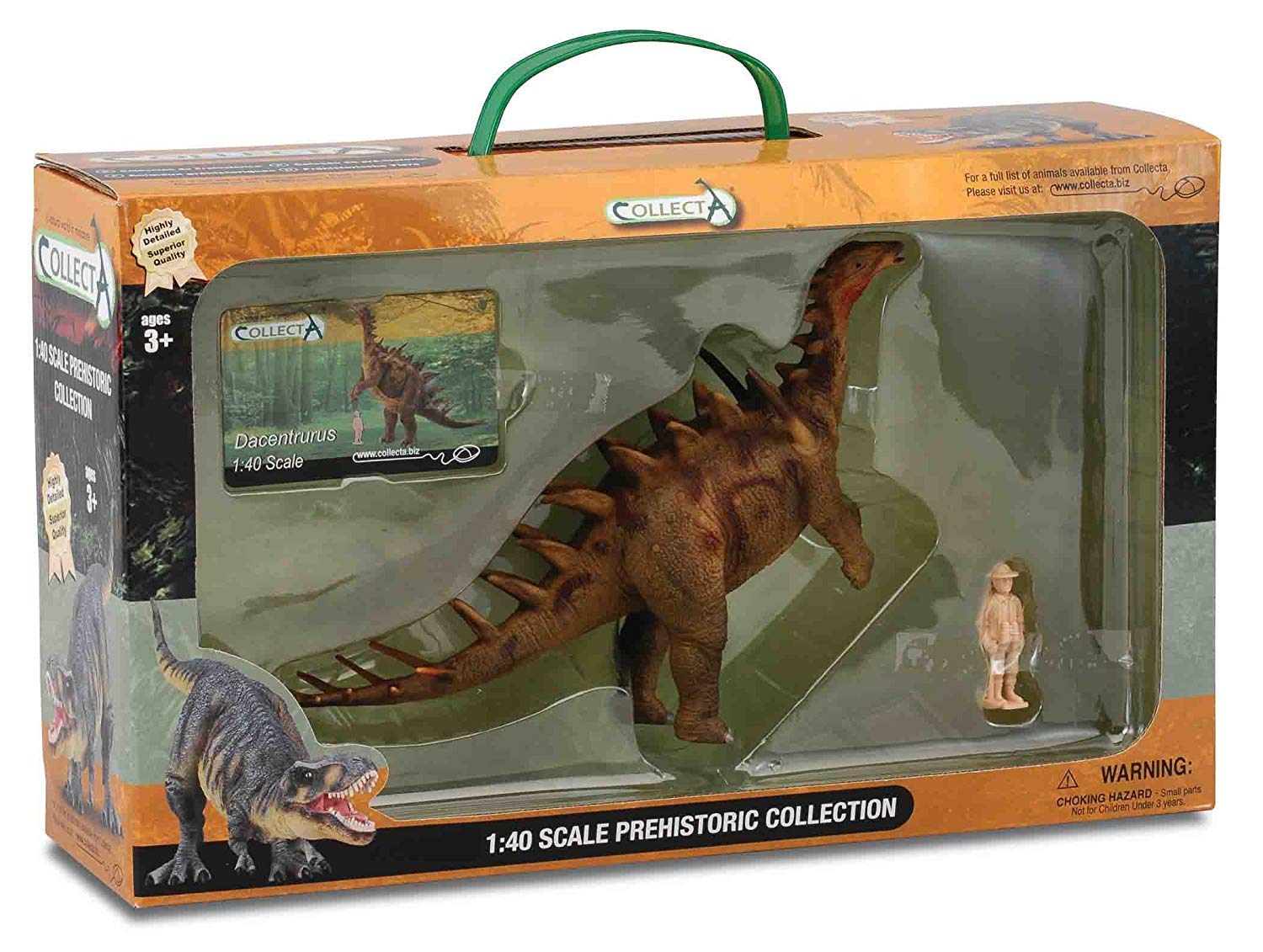 Collecta Dacentrurus Dinosaur Toy in Window Box - Multi Size