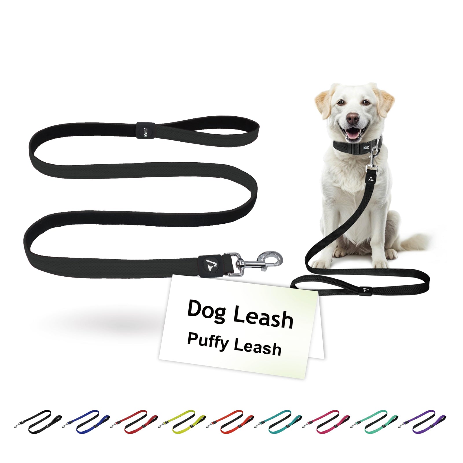 Doco 6ft  Pet Leash – Safe for Walks & Travel