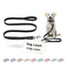 Doco 6ft  Pet Leash – Safe for Walks & Travel