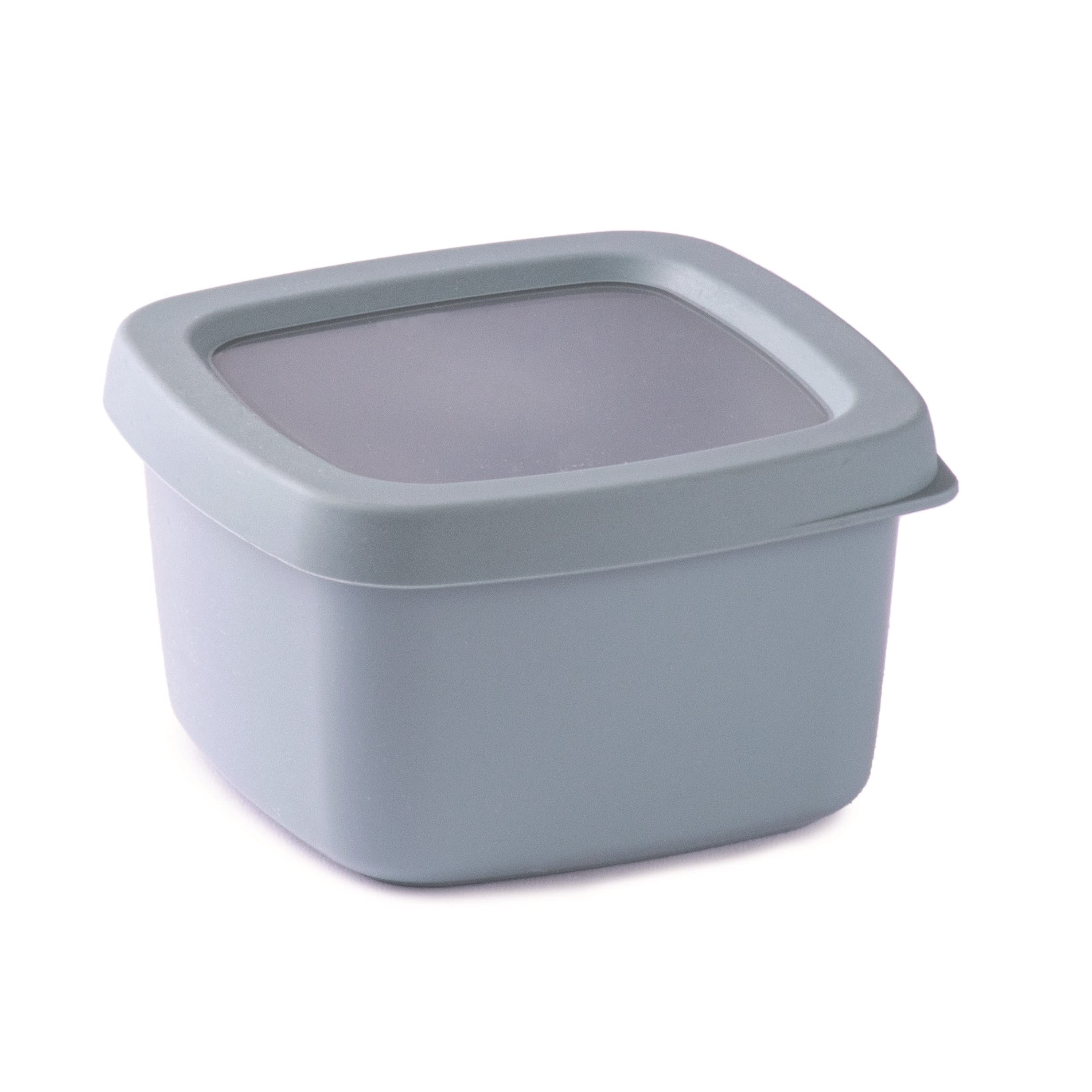 Snips Aroma Saving Container, 0.50L, Light Blue, Airtight Seal
