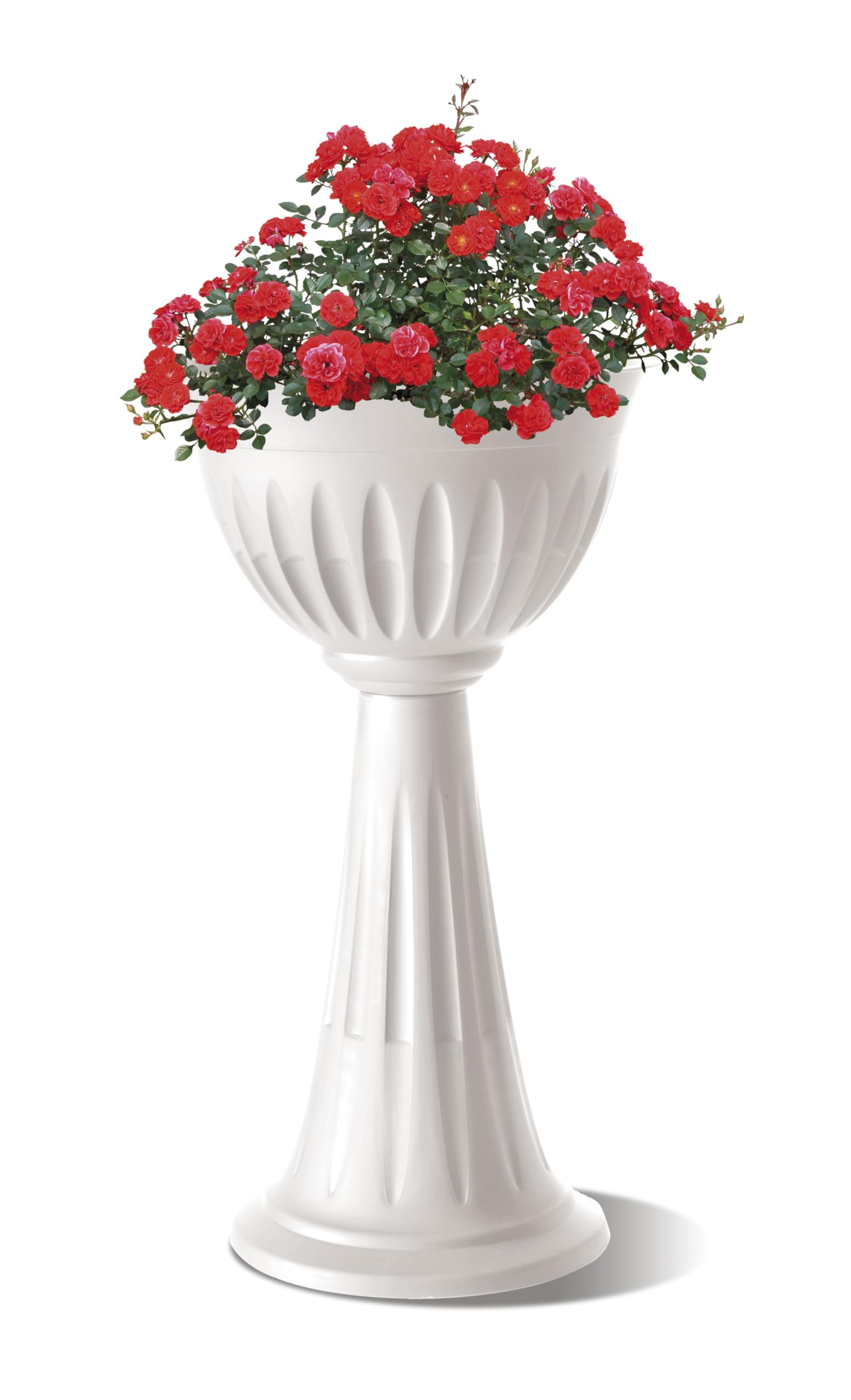 Bama Chianti Pot, 31890,  Plastic - Made In Italy