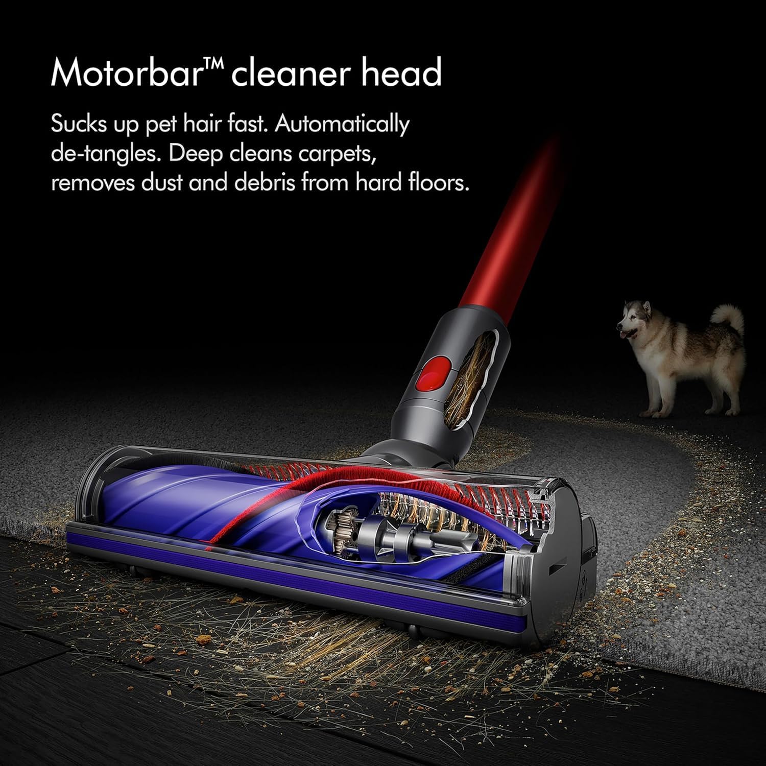   مكنسة Dyson اللاسلكية – صندوق تالف تقدم نفس الأداء القوي لمكانس Dyson العادية بسعر مخفض بسبب تلف طفيف في التغليف وخدوش سطحيه.