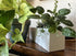 Modern 16" White Steel Trough Planter – Sleek Rectangular Design
