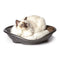 Bama Bed Pasha With Cushionn 19205, Made In Italy