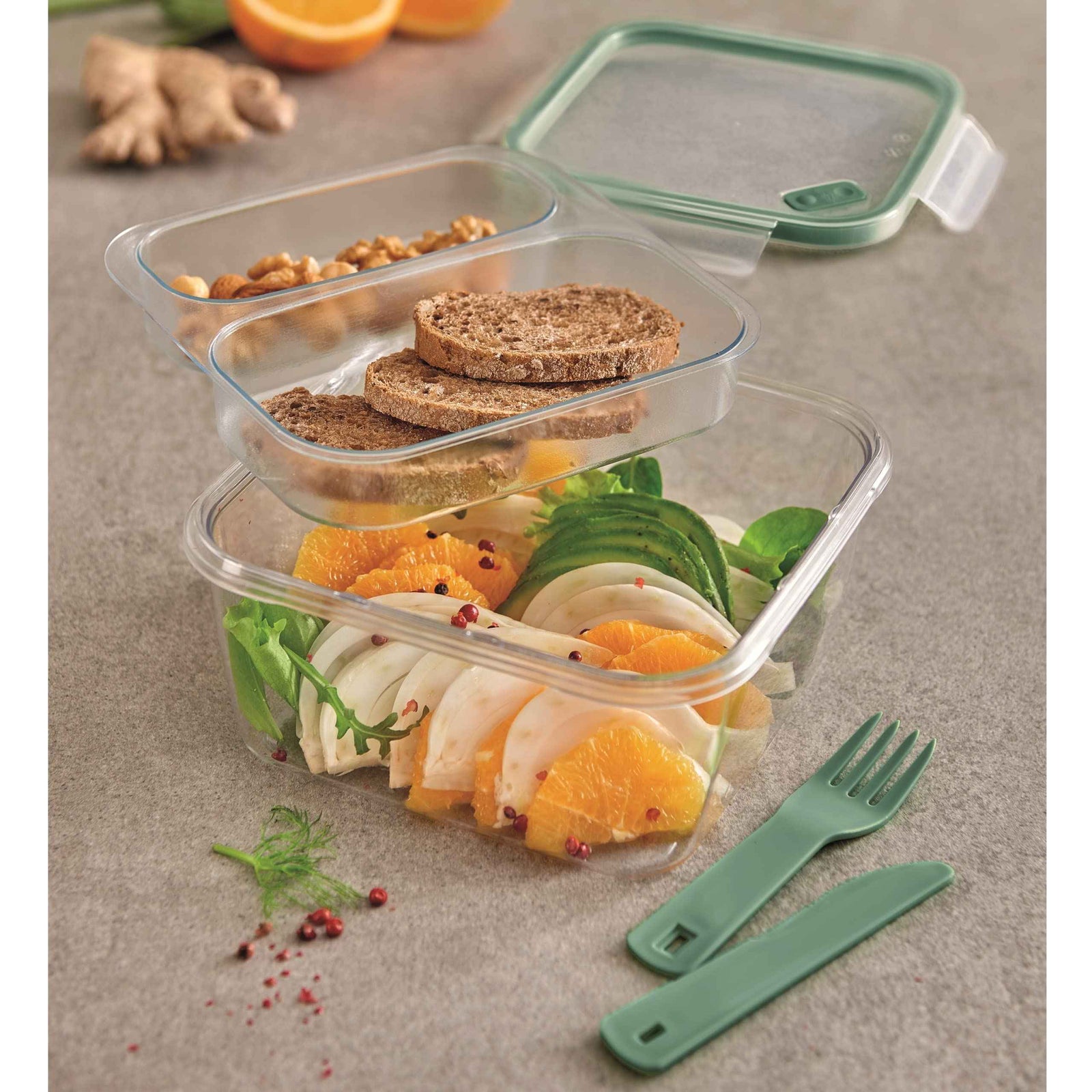 Snips Plastic Lunch Box, 1.4 L, Square, Multicolor