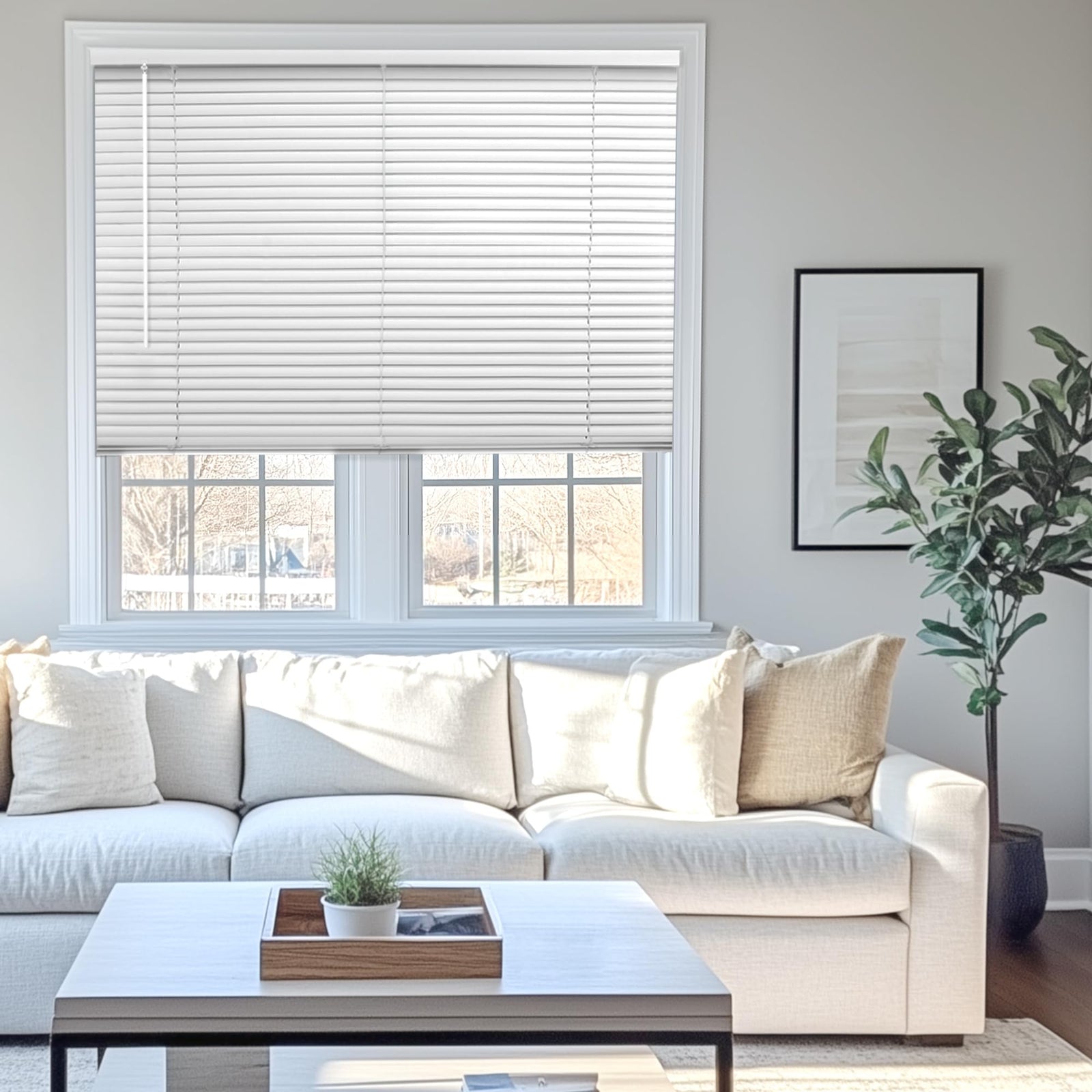 CHICOLOGY Horizontal Gloss Mini Blinds – Stylish Window Coverings