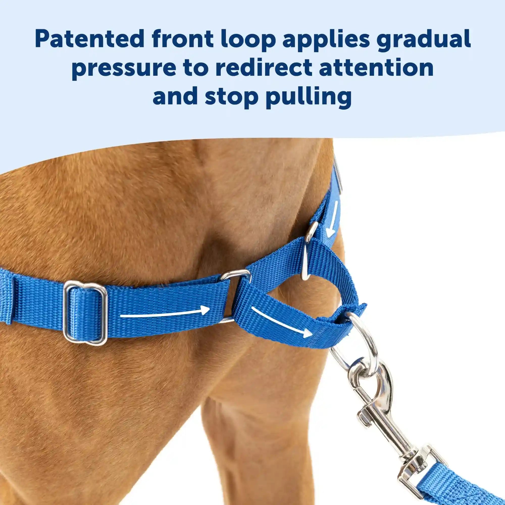 Petsafe Easy Walk Dog Harness – No-Pull – Safqqa Egypt