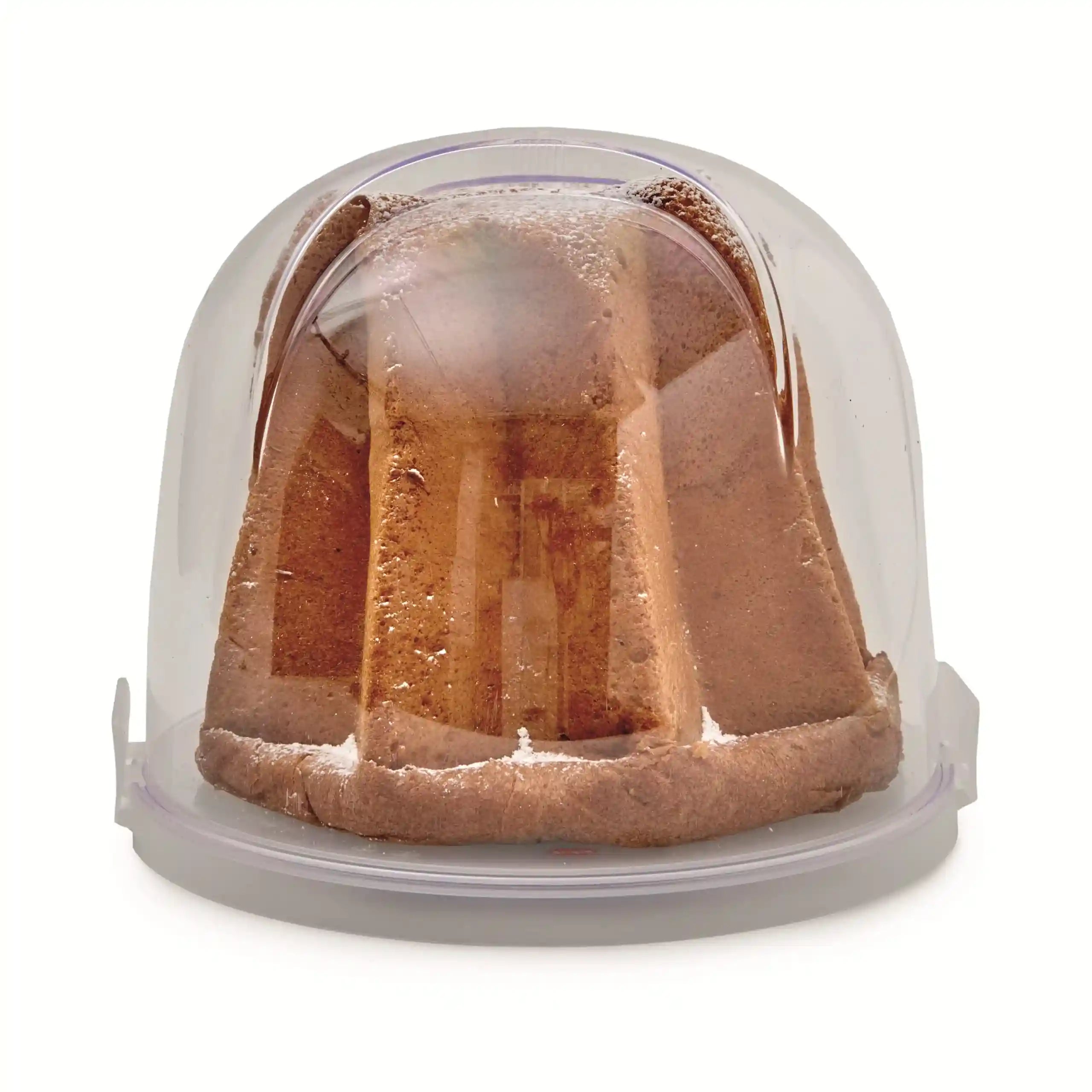 حاوية بلاستيكية من سنبس بغطاء شفاف مزودة بإغلاقين آمنين، تعد خيارًا مثاليًا لتخزين الطعام – Safqqa Egypt