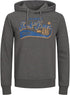 Jack & Jones Men Hoodie Grey Casual Hoodie