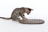 Bama 19130 Comfort Mat, Taupe