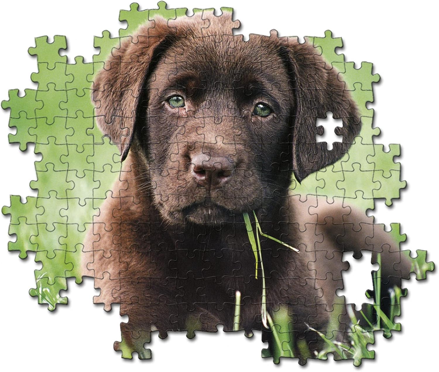 Clementoni 35072 HQC 500-Piece Puzzle - Chocolate Puppy