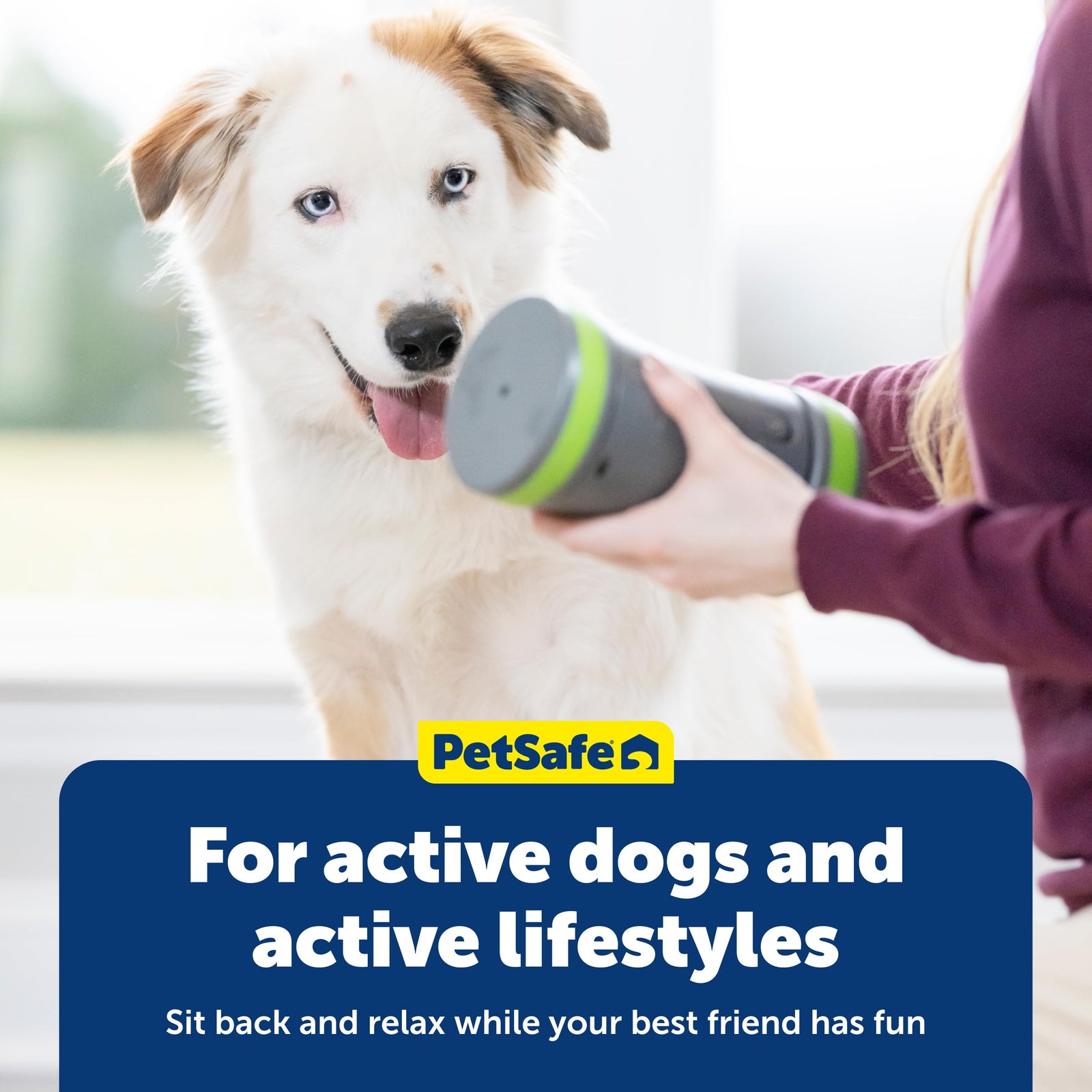 PetSafe Kibble Chase Interactive Dog Toy – Electronic Treat Dispenser & Slow Feeder