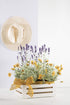 Bama Round Saucer, 10290, Dark Brown, Plastic - Made In Italy