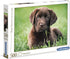 Clementoni 35072 HQC 500-Piece Puzzle - Chocolate Puppy