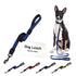 Blue pet belt