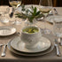 Restaurantware Porcelain Bowls – 9-Piece Set with Lion Head Design