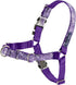 PetSafe Bling Easy Walk Harness