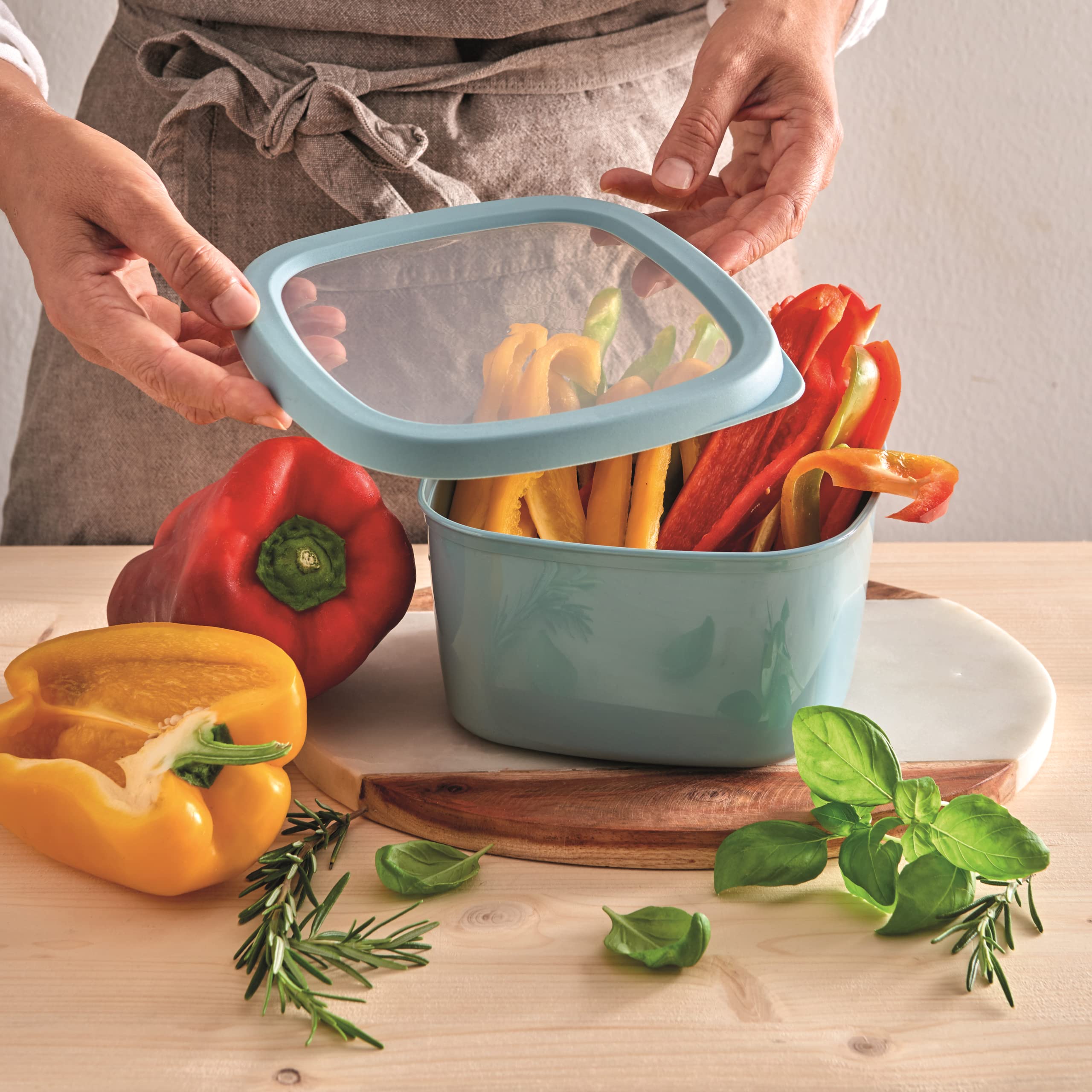 Snips Airtight Food Storage Container