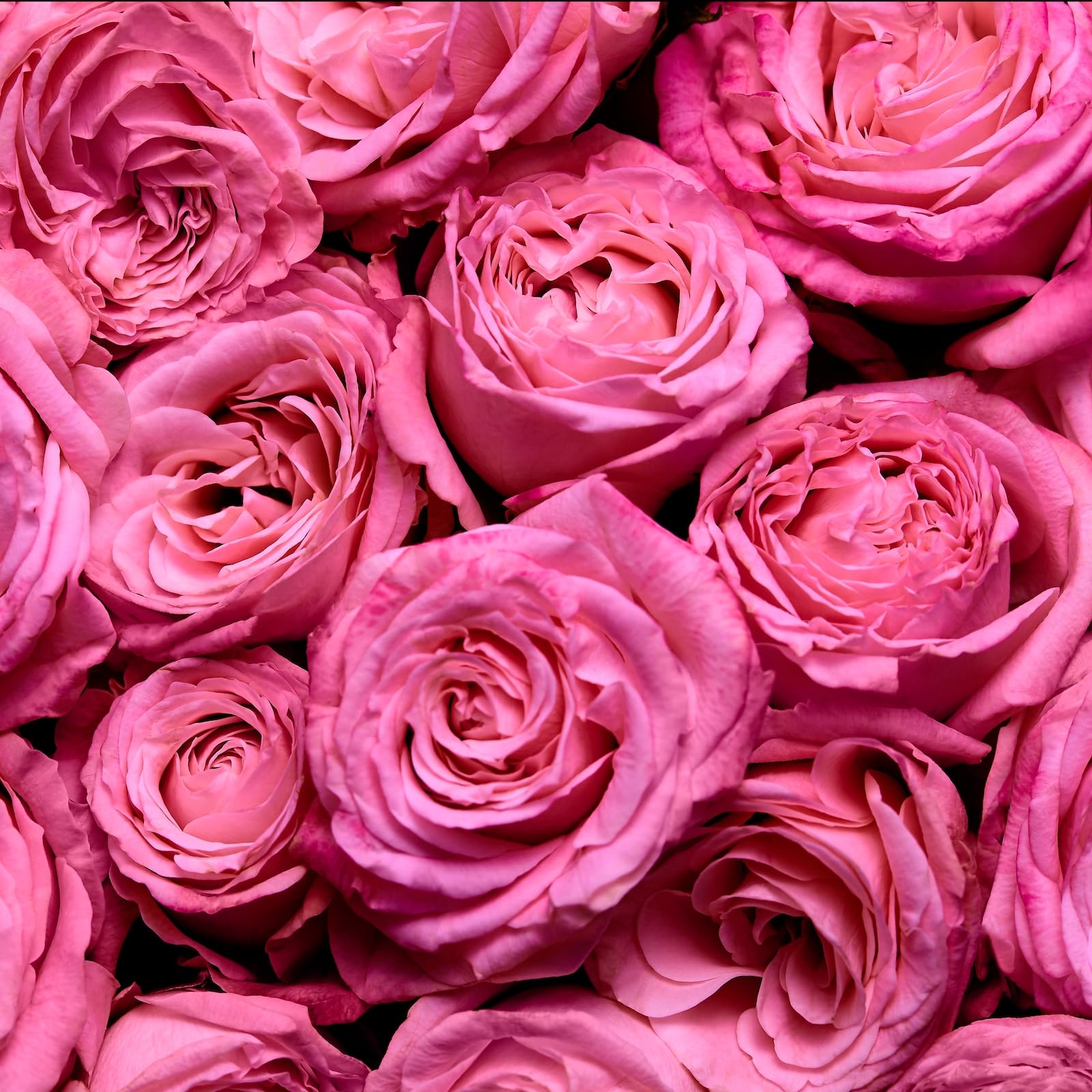 Escada Perfume For Women 75ml