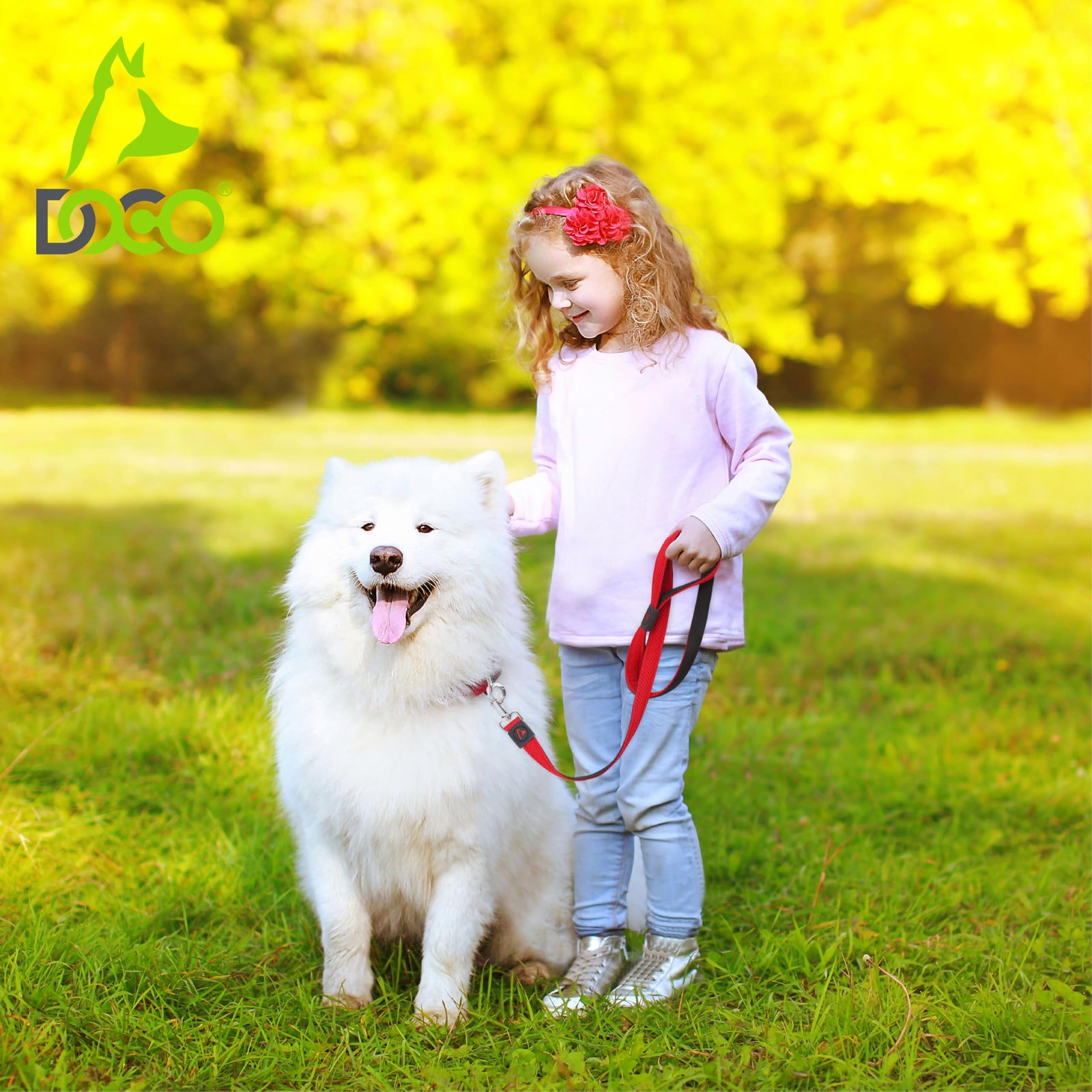Doco 6ft  Pet Leash – Safe for Walks & Travel
