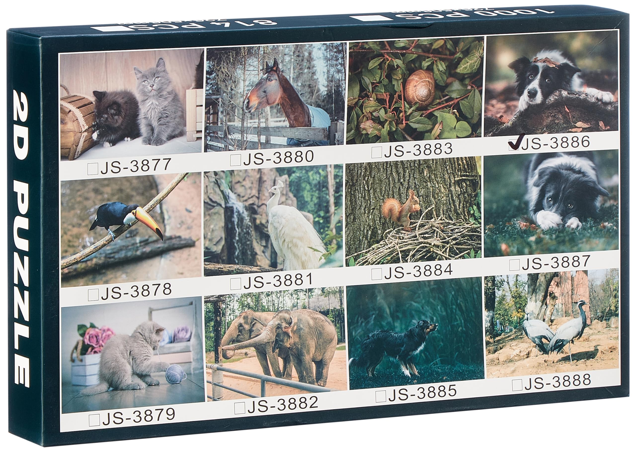 Generic Plastic Aurora Jigsaw Puzzle Set Of 1000 Pieces For Kids - Multi Color - Safqqa Egypt