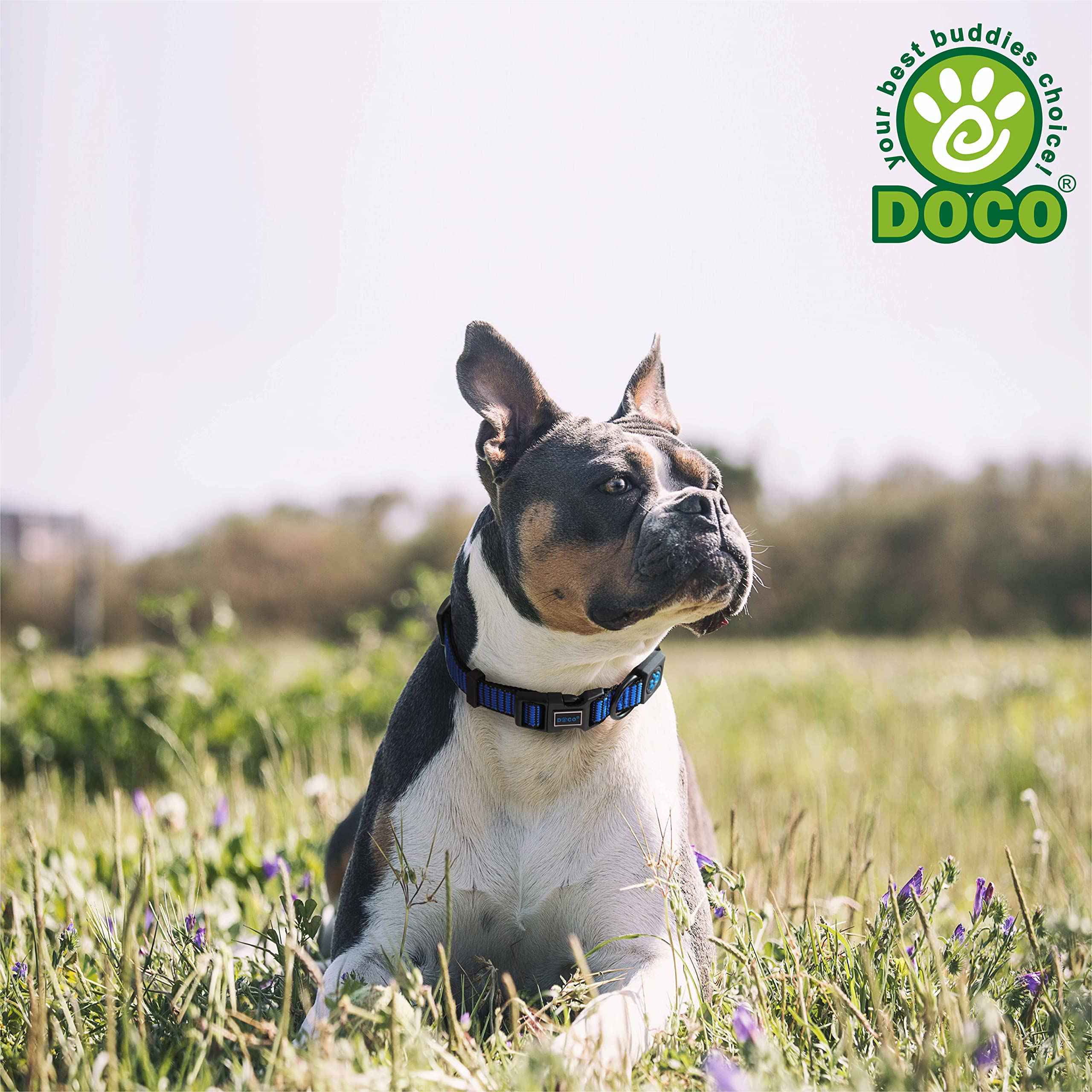 DOCO® Martini Bean Collar (DCS008) Sizes - XS, Color - Lemon - Safqqa Egypt